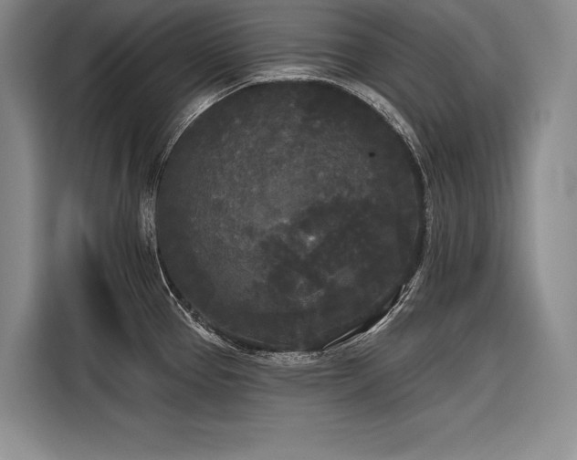 X0000116851337200912221111