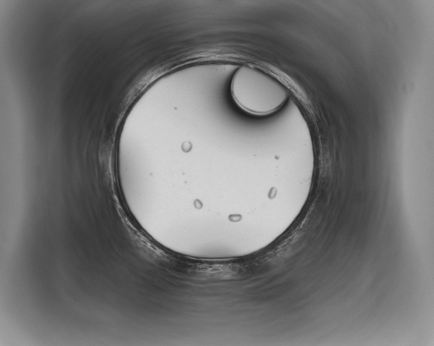 X0000116851338200912221111