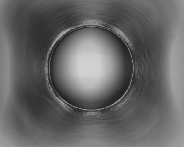 X0000116851339200912221111