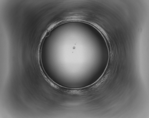 X0000116851341200912221111