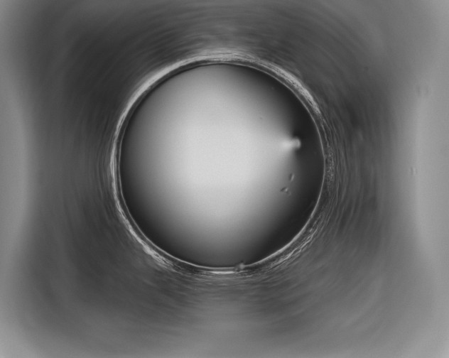 X0000116851343200912221111