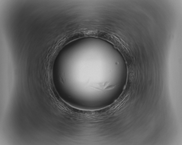 X0000116851345200912221111