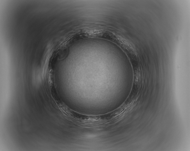 X0000116851346200912221111