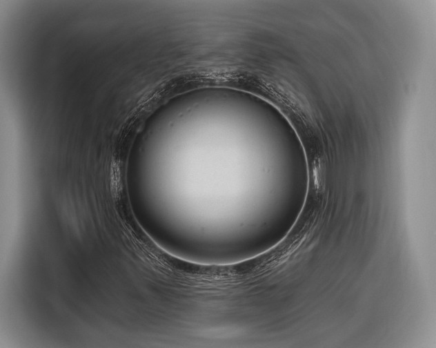 X0000116851347200912221111