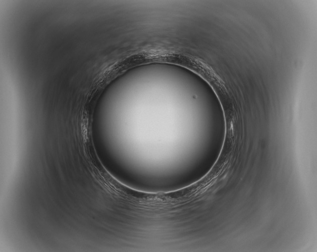 X0000116851348200912221111