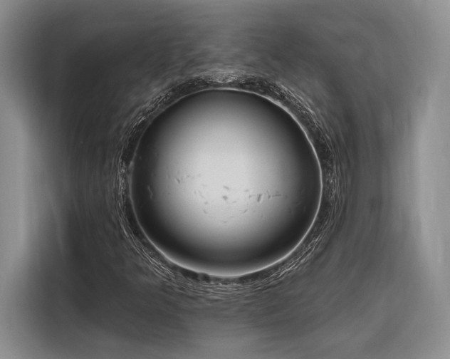 X0000116851349200912221111