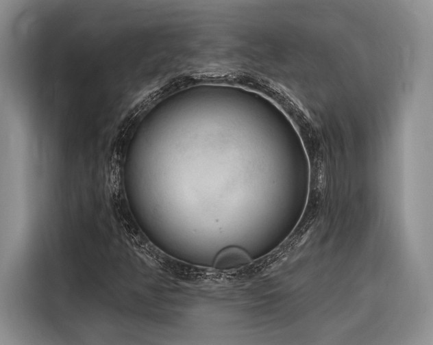 X0000116851350200912221111