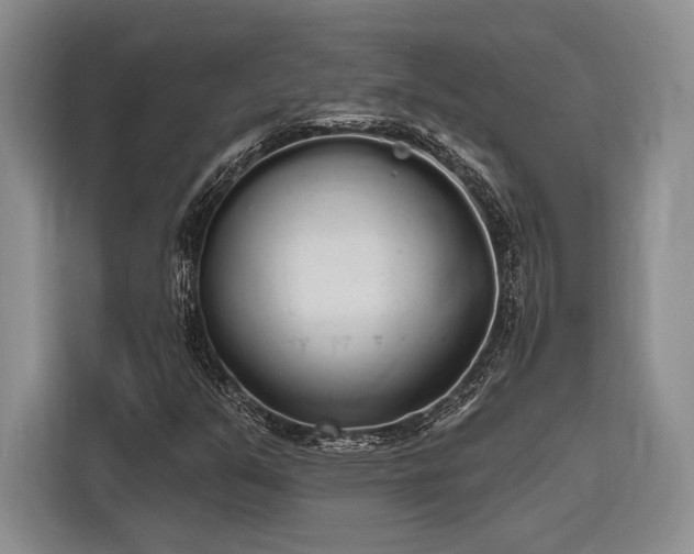 X0000116851351200912221110