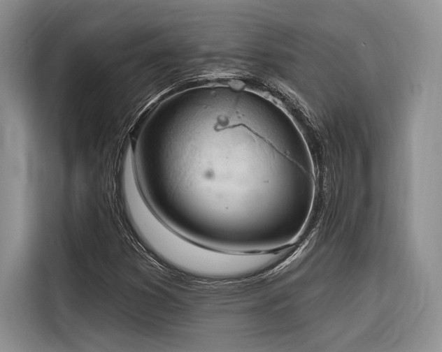 X0000116851353200912221110