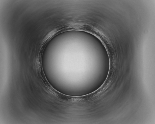 X0000116851354200912221110