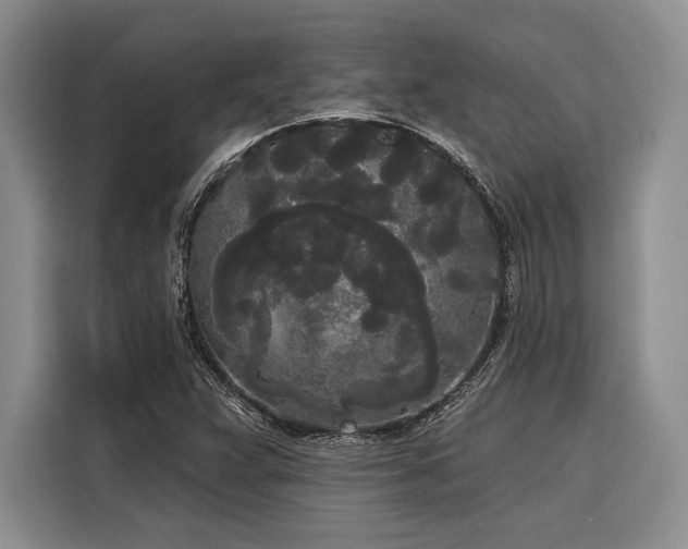 X0000116851359200912221110