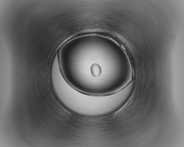 X0000116851361200912221110