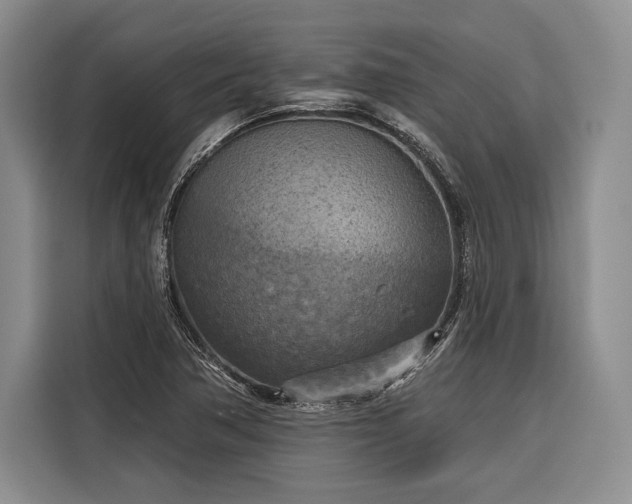 X0000116851362200912221110
