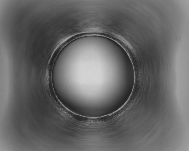 X0000116851364200912221110