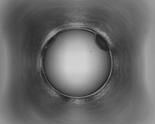 X0000116851365200912221110