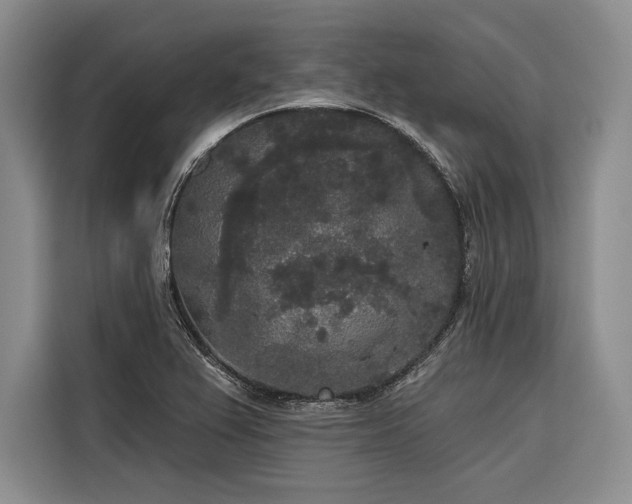 X0000116851367200912221110