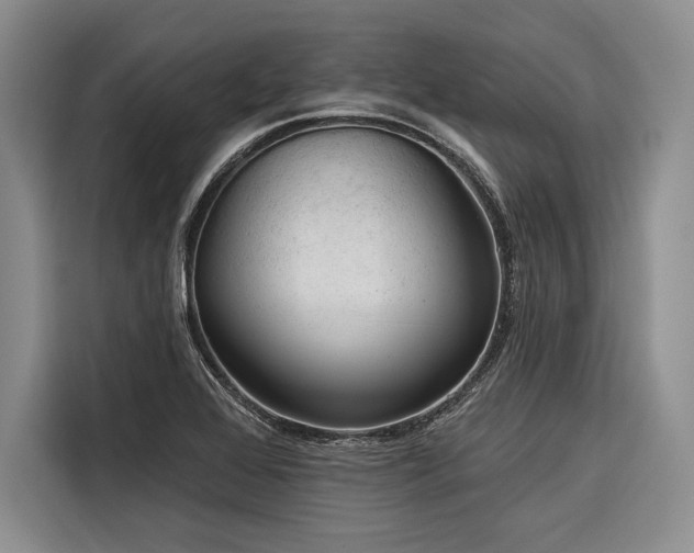 X0000116851368200912221110