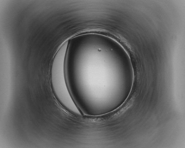X0000116851369200912221110