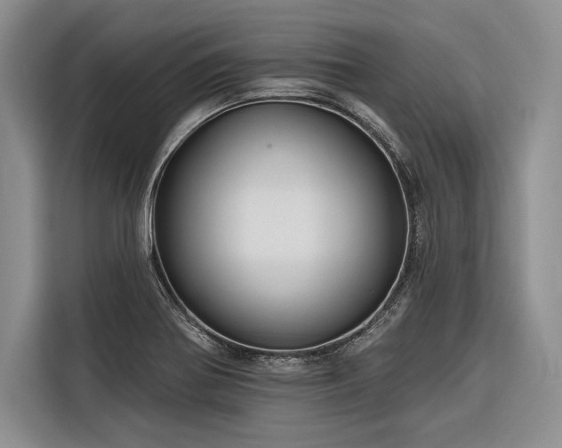 X0000116851370200912221110