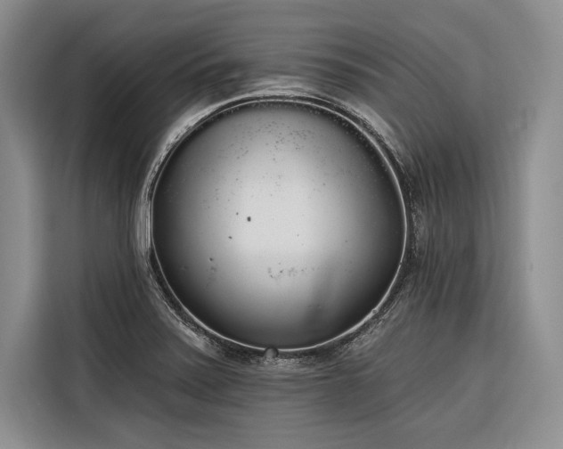 X0000116851371200912221110