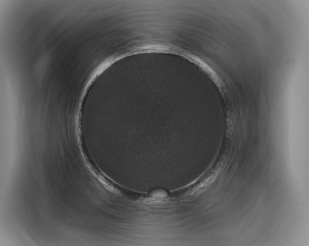 X0000116851373200912221110