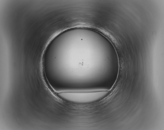 X0000116851375200912221110