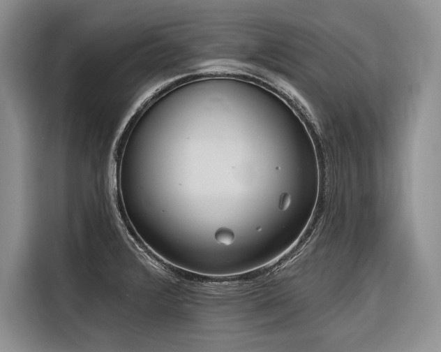 X0000116851376200912221110