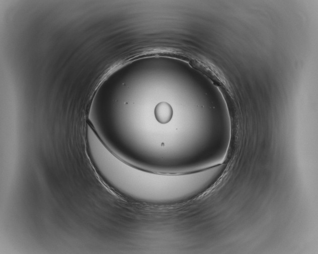 X0000116851377200912221110