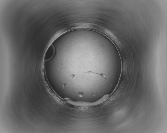X0000116851378200912221110