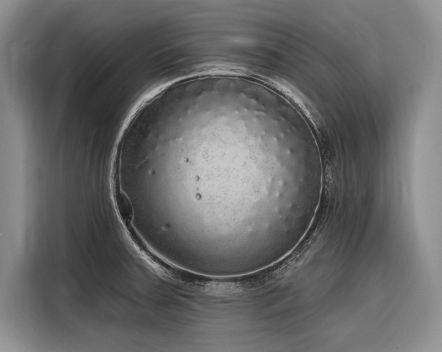 X0000116851379200912221110