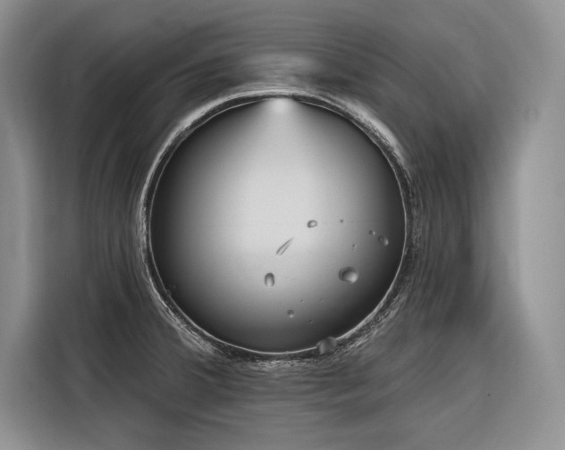 X0000116851380200912221110