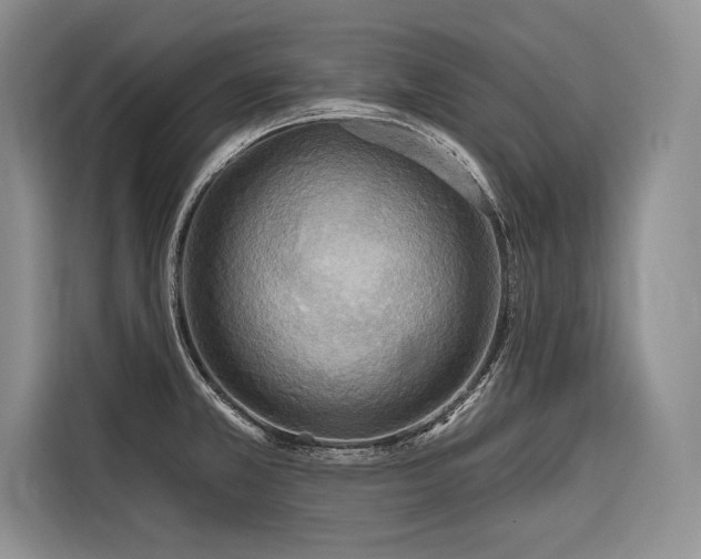 X0000116851381200912221110