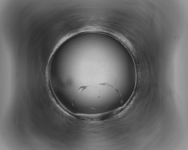 X0000116851382200912221110