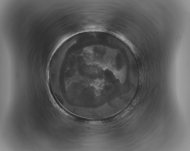 X0000116851383200912221110