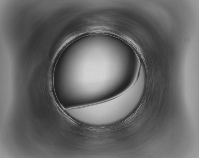 X0000116851384200912221110