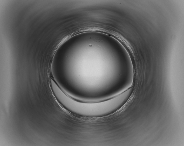 X0000116851385200912221110