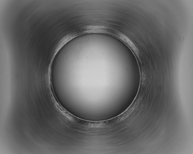 X0000116851386200912221110