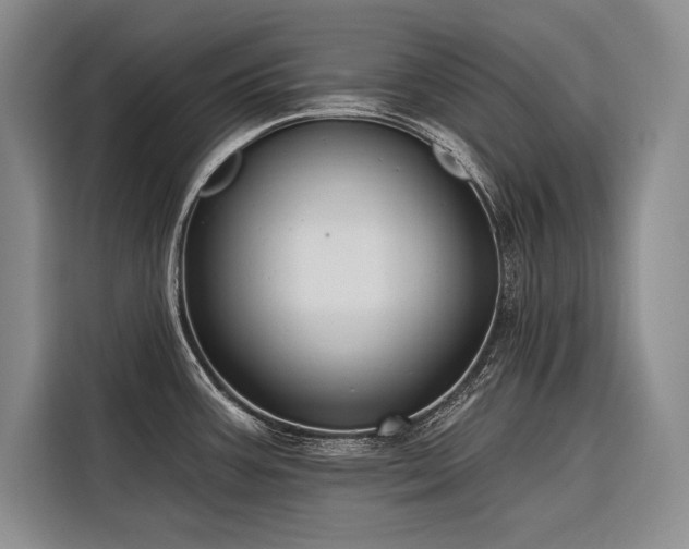 X0000116851387200912221110