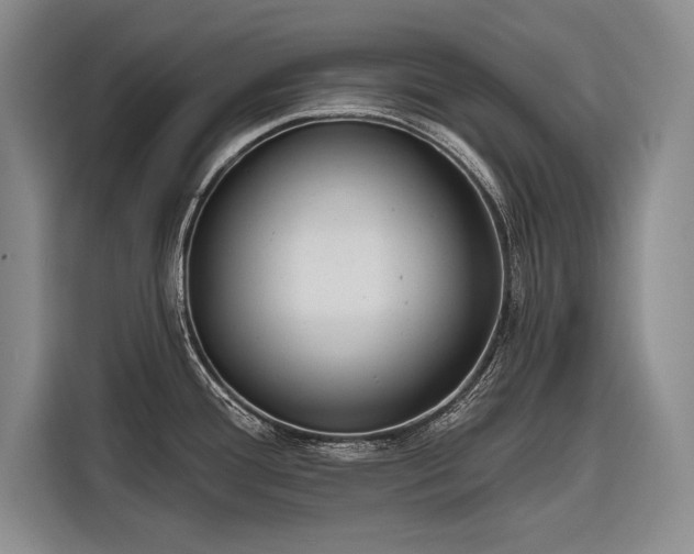 X0000116851388200912221110