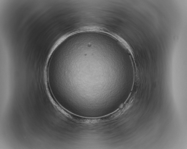 X0000116851389200912221110
