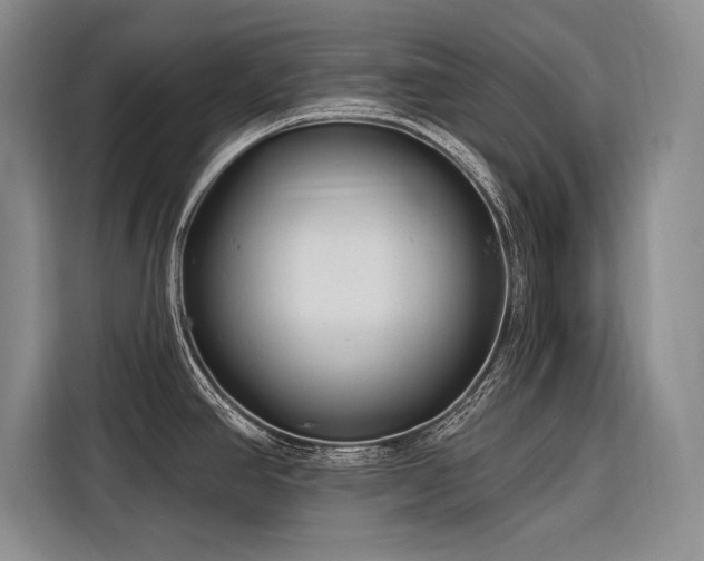 X0000116851390200912221110
