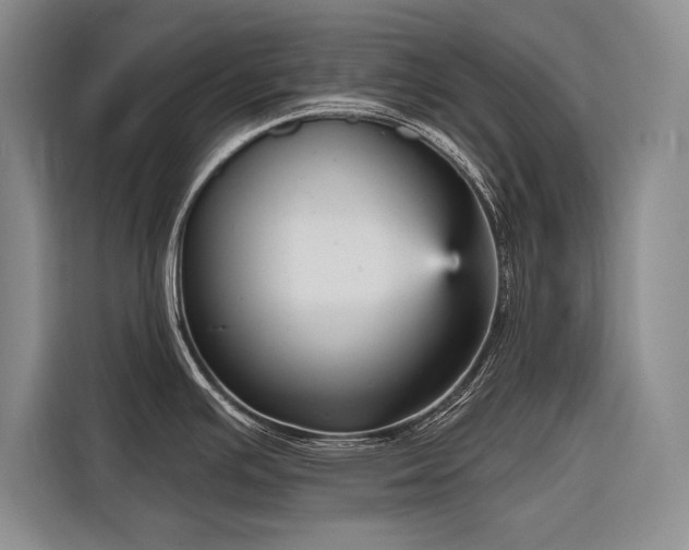 X0000116851391200912221110
