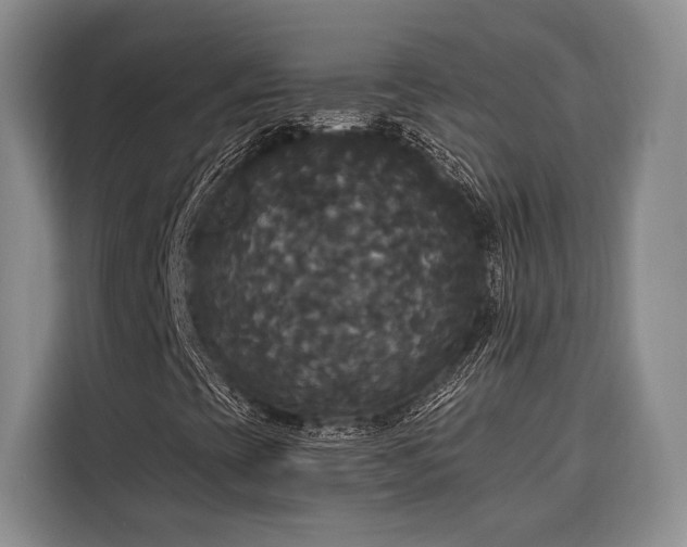 X0000116851393200912221109