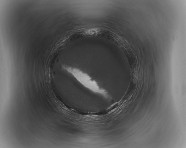 X0000116851394200912221109