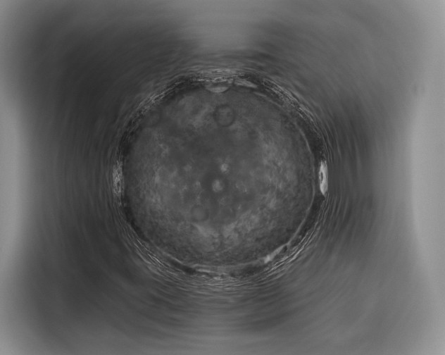 X0000116851395200912221109