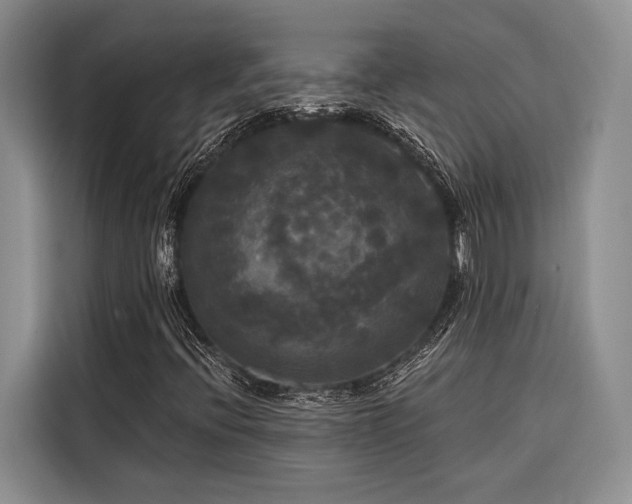 X0000116851396200912221109