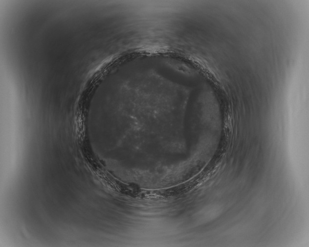 X0000116851398200912221109