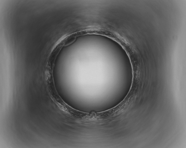 X0000116851400200912221109