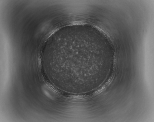 X0000116851401200912221109