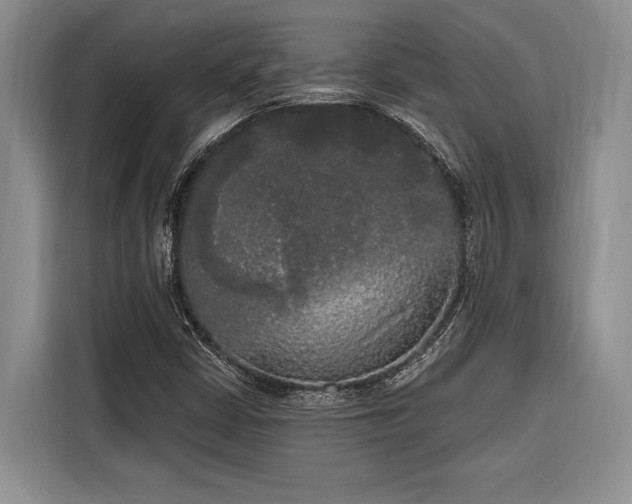 X0000116851402200912221109